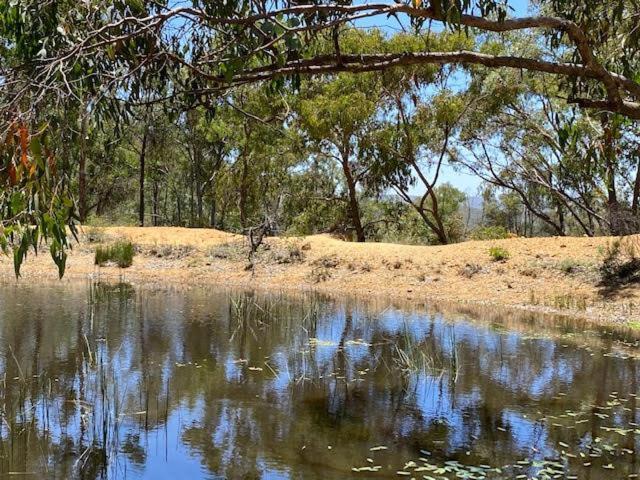 Stringybark Villa Hill End Luaran gambar