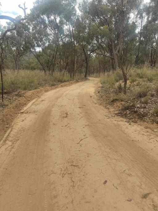 Stringybark Villa Hill End Luaran gambar