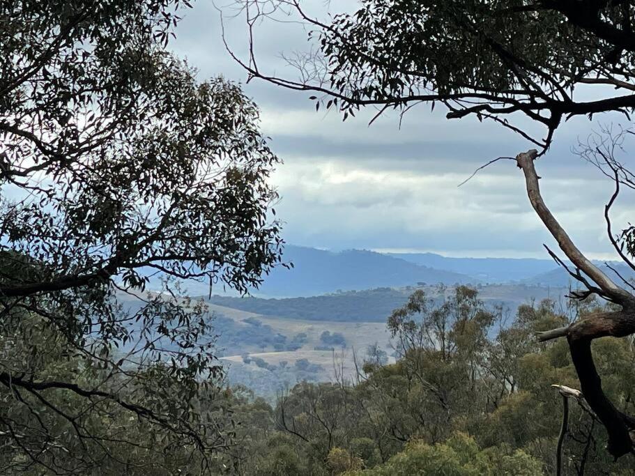 Stringybark Villa Hill End Luaran gambar